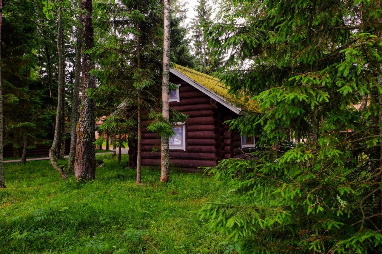 Отель База отдыха  Самая Ладога Приозерск Экстерьер фото